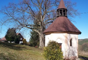 Chapel and memorable lime-tree in Platoř