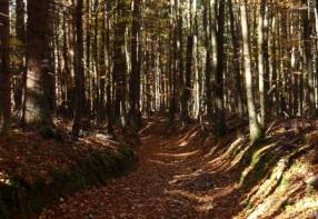 Ka�perskohorsk� v�tev Zlat� stezky