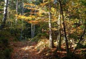 Ka�perskohorsk� v�tev Zlat� stezky