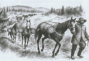  Zlat stezka a Alej smen