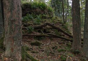 Rezervace Jilmov skla