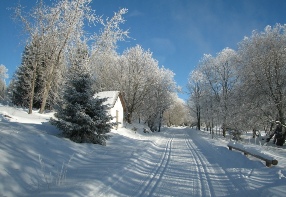 Buina in winter