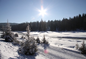 Ski tracks along the Roklansk stream nearby Rybrna