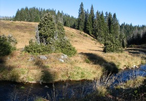 Bellow Beznk  the Beznick stream