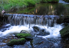 Stream behind Filipova Hu