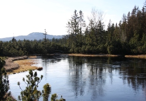 Rokyteck peat bog  view of Roklan mountain