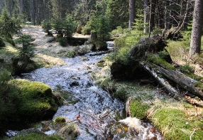 The Slatinn stream behind Hrabc bridge
