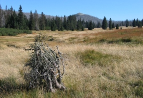 Lzesk valley  view of Luzn mountain
