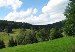 View of Jelení Vrchy