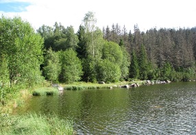 Plešné Lake