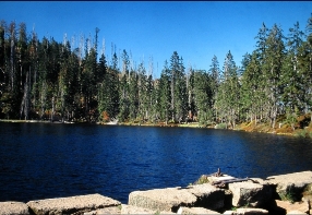 Prilsk jezero  Autor fotografie: Josef Rada