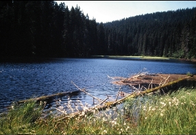 Laka Lake  Photograph by: Josef Rada