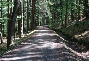 Schwarzenbersk plavebn kanl
