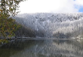 Plešné jezero (Plöckensteinsee)