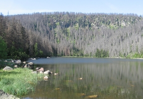 Plešné jezero (Plöckensteinsee)