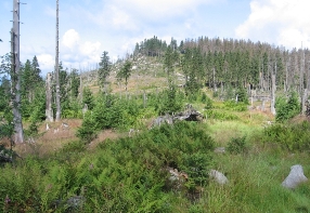 T��stoli�n�k