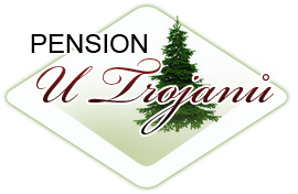 Penzion U Trojan, Volary - umava - Boubn - Lipensko - Home