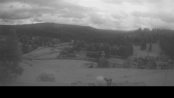 20.05.2026 - 12:00