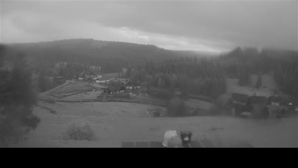 11.05.2026 - 16:00