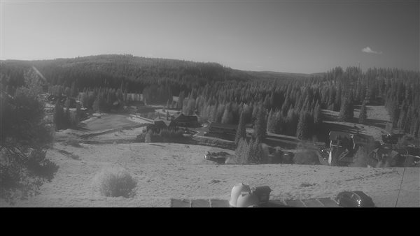 17.05.2026 - 08:00