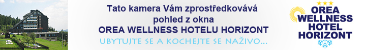 Orea Wellnes Hotel Horizont
