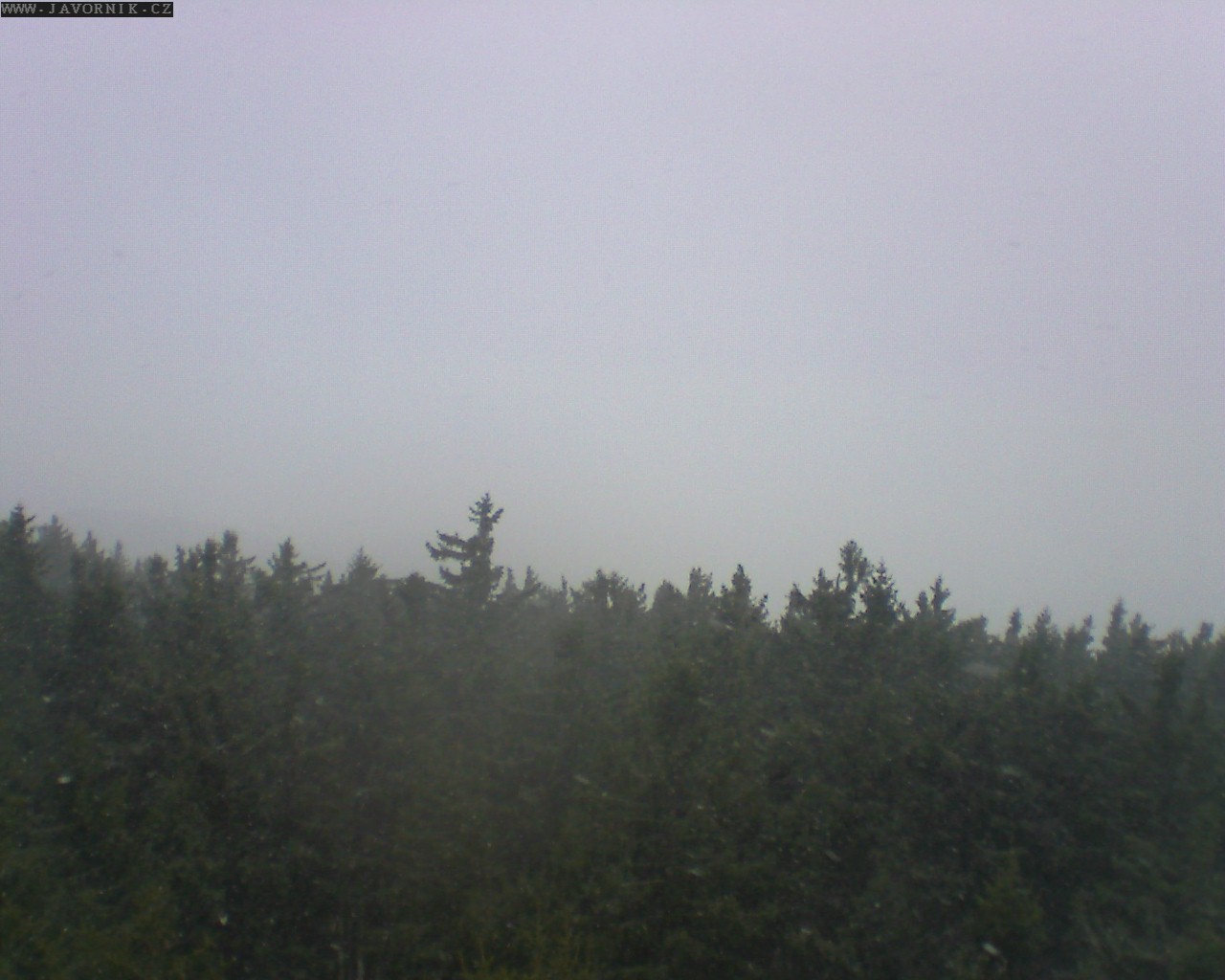 Webkamera - Javorník