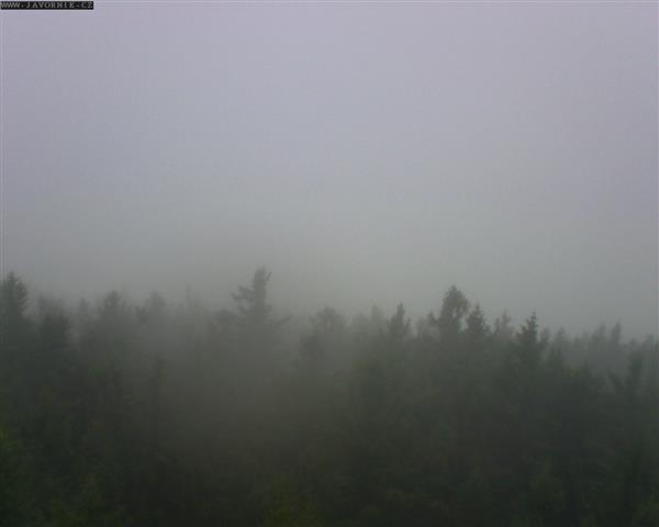 17.11.2025 - 12:00 17.11.2025 - 12:00