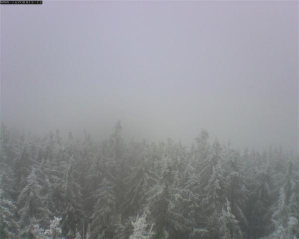 24.12.2025 - 12:00 24.12.2025 - 12:00