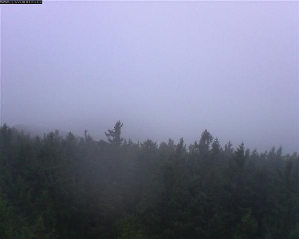 17.11.2025 - 08:00 17.11.2025 - 08:00