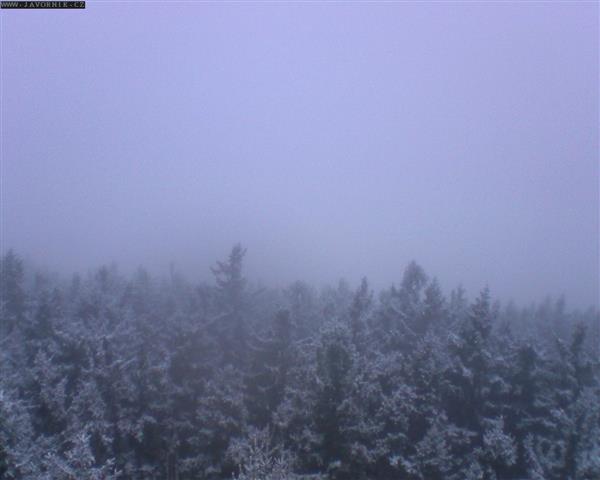 25.11.2025 - 08:00 25.11.2025 - 08:00