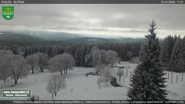 31.01.2026 - 12:00 31.01.2026 - 12:00