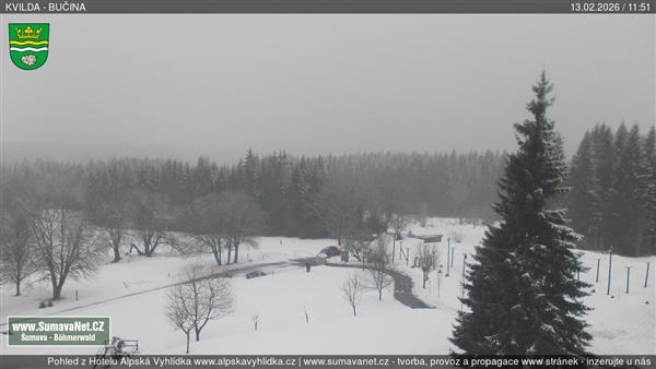 13.02.2026 - 12:00 13.02.2026 - 12:00