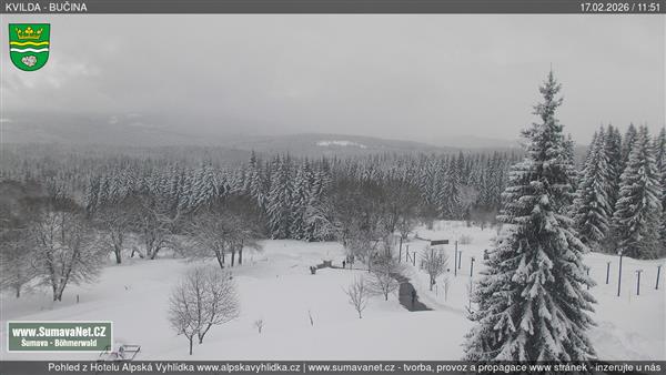 17.02.2026 - 12:00 17.02.2026 - 12:00