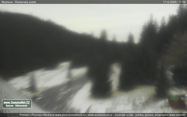 17.12.2025 - 12:00 17.12.2025 - 12:00