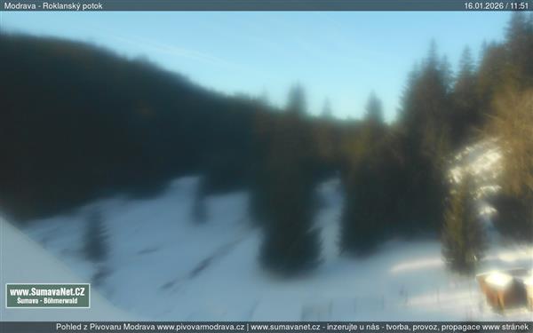 16.01.2026 - 12:00 16.01.2026 - 12:00