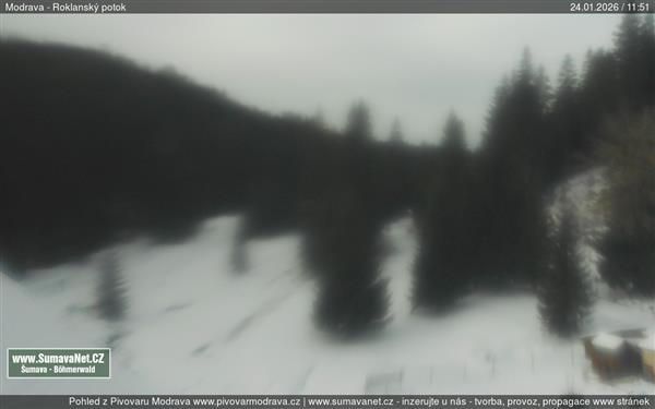 24.01.2026 - 12:00 24.01.2026 - 12:00