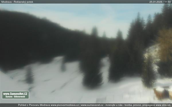 25.01.2026 - 12:00 25.01.2026 - 12:00