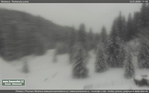 12.01.2026 - 16:00 12.01.2026 - 16:00