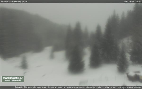 26.01.2026 - 16:00 26.01.2026 - 16:00