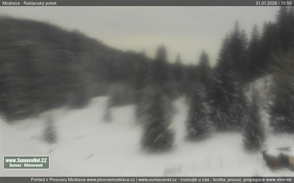 31.01.2026 - 16:00 31.01.2026 - 16:00