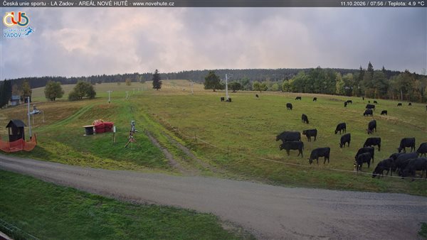 11.10.2026 - 08:00