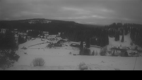 07.01.2026 - 12:00 07.01.2026 - 12:00