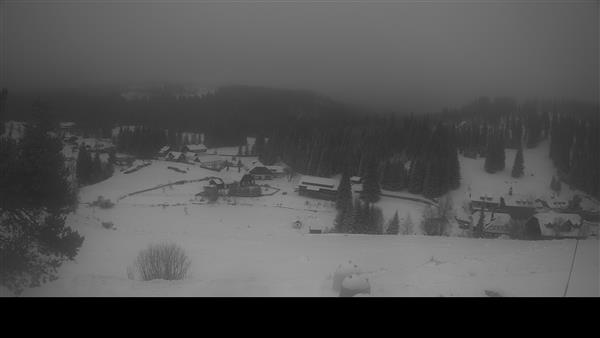 08.01.2026 - 12:00 08.01.2026 - 12:00