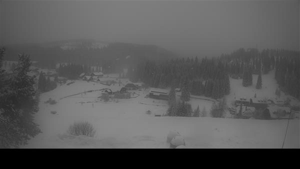 12.01.2026 - 12:00 12.01.2026 - 12:00