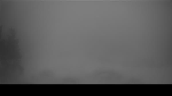 13.01.2026 - 12:00 13.01.2026 - 12:00