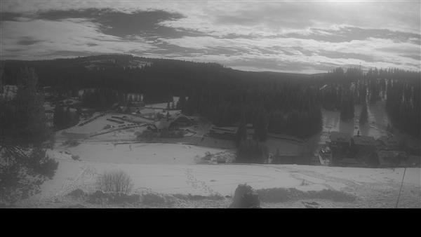 03.02.2026 - 12:00 03.02.2026 - 12:00