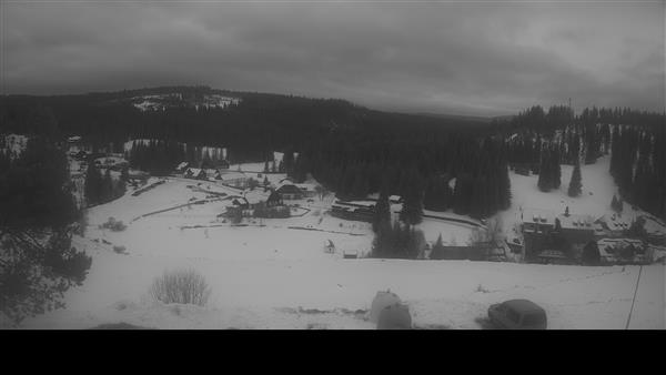 05.02.2026 - 12:00 05.02.2026 - 12:00