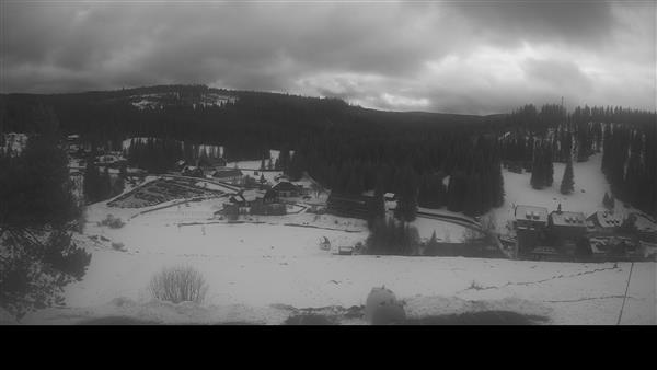 08.02.2026 - 12:00 08.02.2026 - 12:00