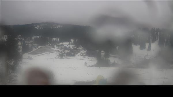 11.02.2026 - 12:00 11.02.2026 - 12:00