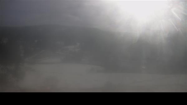 12.02.2026 - 12:00 12.02.2026 - 12:00